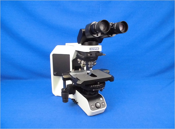 システム生物顕微鏡　BX53-33DICT